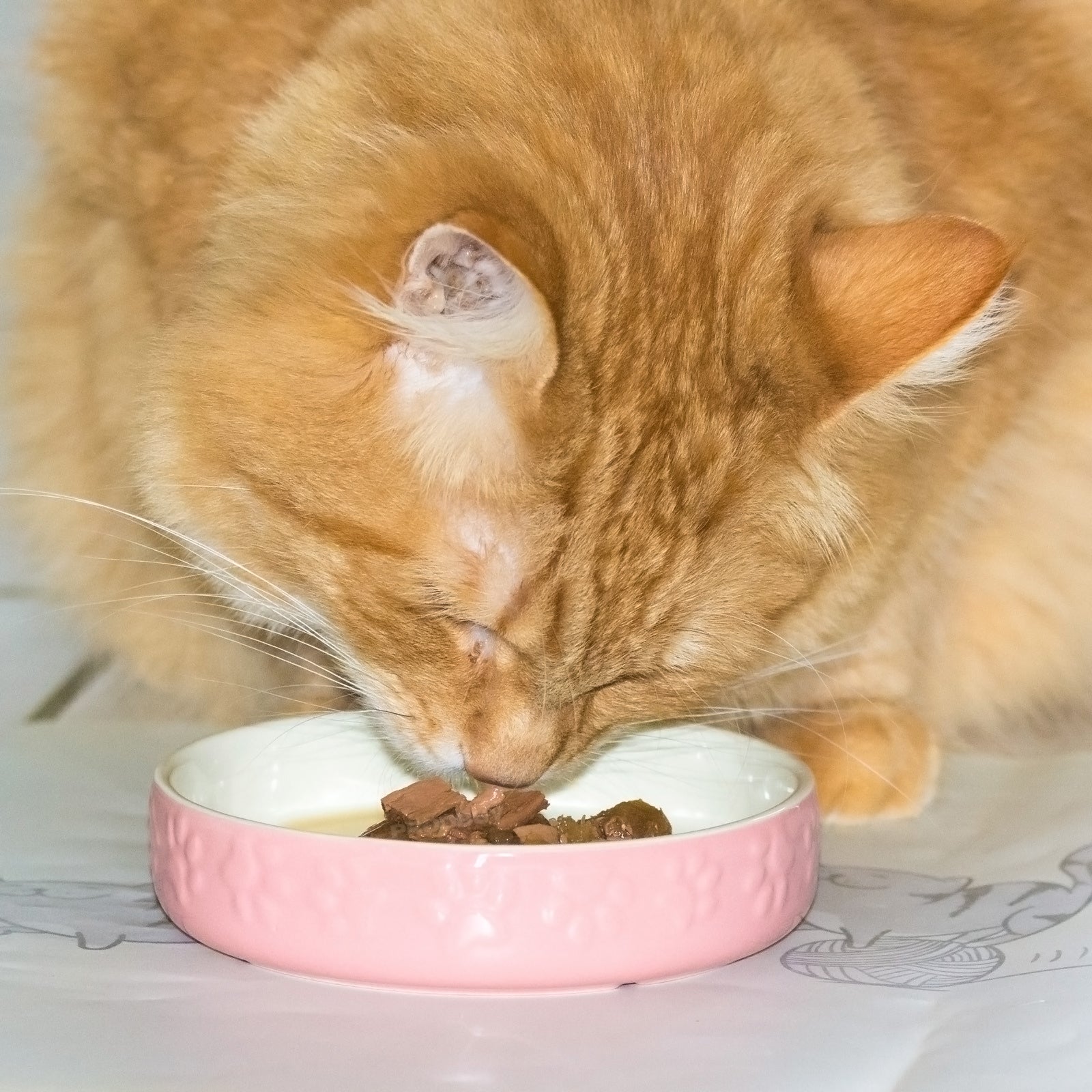 Set Of 2 Paw Print Pink Cat Bowls