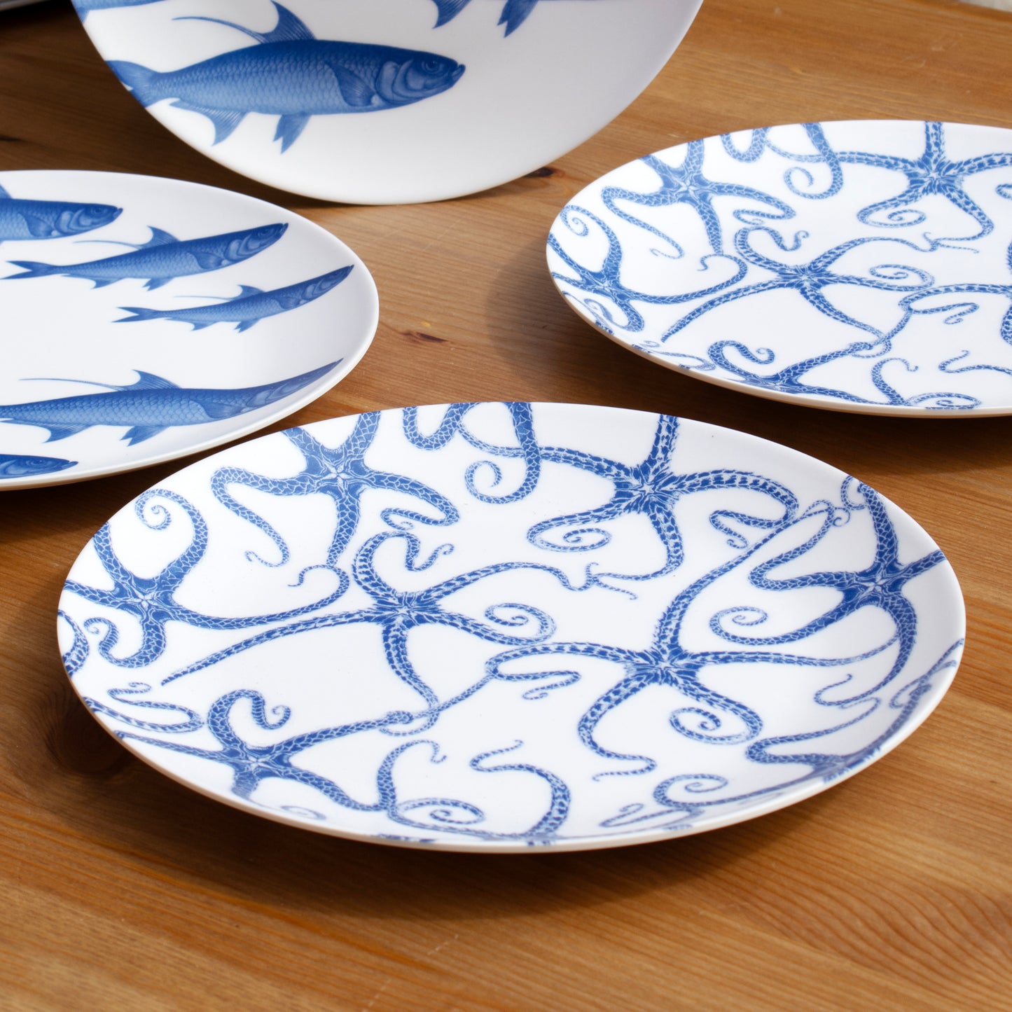 Set Of 4 Marine Life Outdoor Dinner Plates