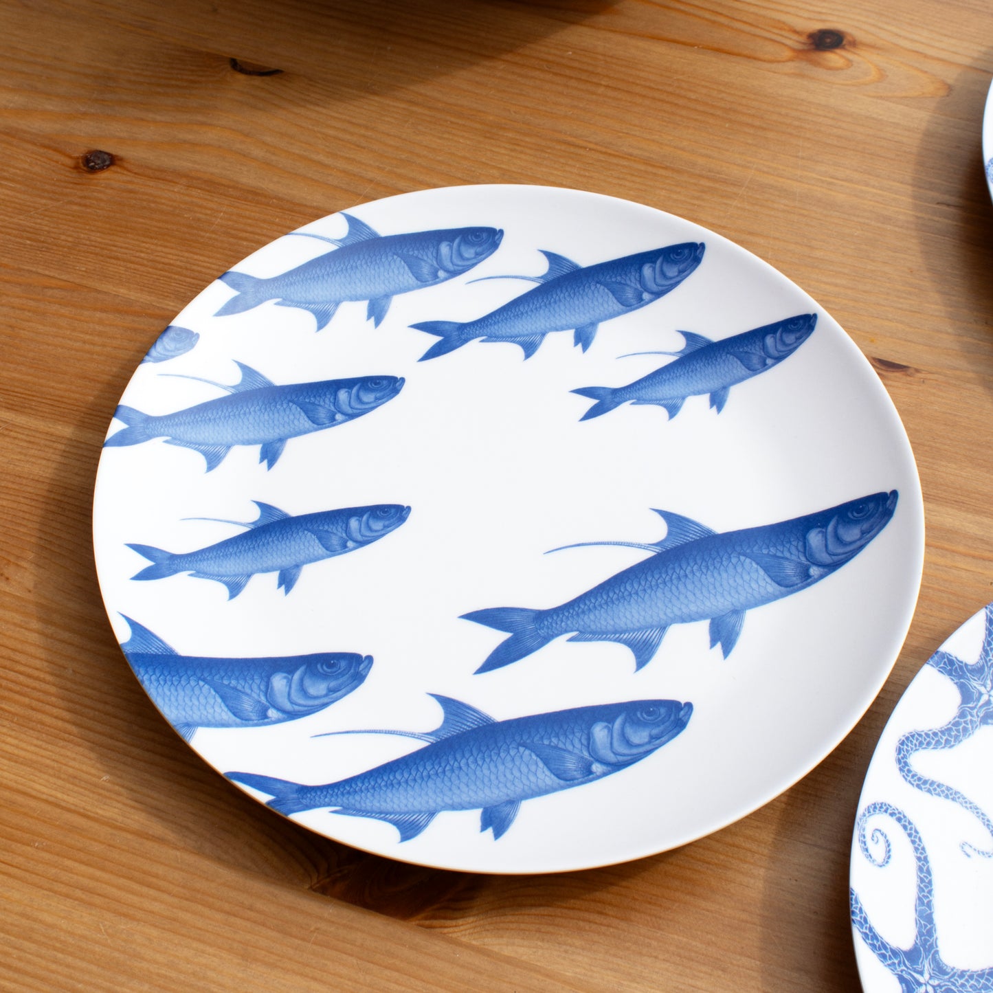 Set Of 4 Marine Life Outdoor Dinner Plates