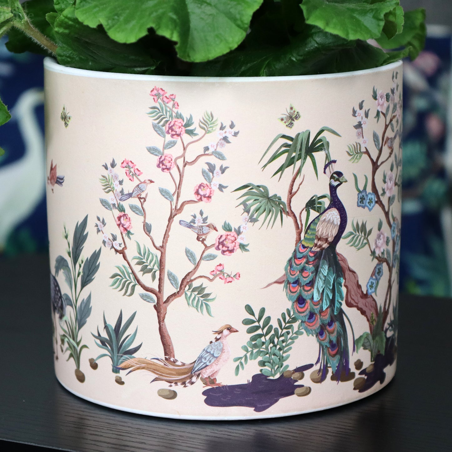 Pink Oriental Plant Pot
