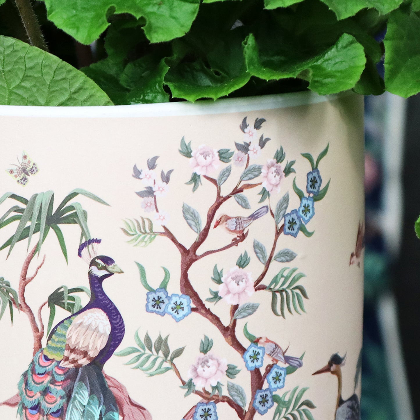 Pink Oriental Plant Pot
