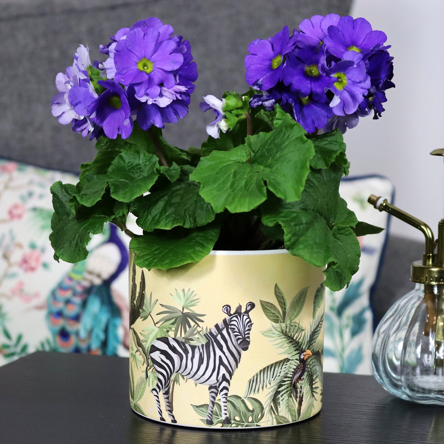 Yellow Safari Zebra Plant Pot