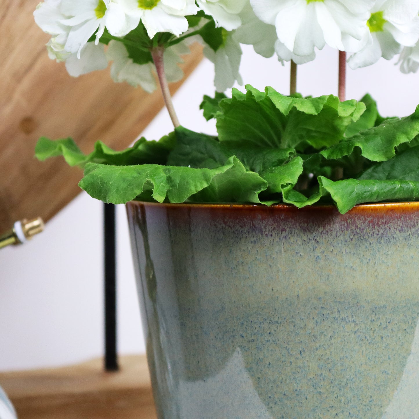 Green Reactive Glaze Plant Pot