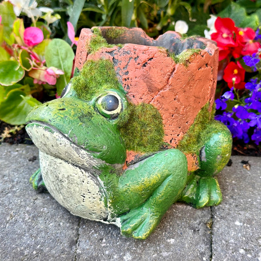 Cement Frog Planter With Clay Pipe