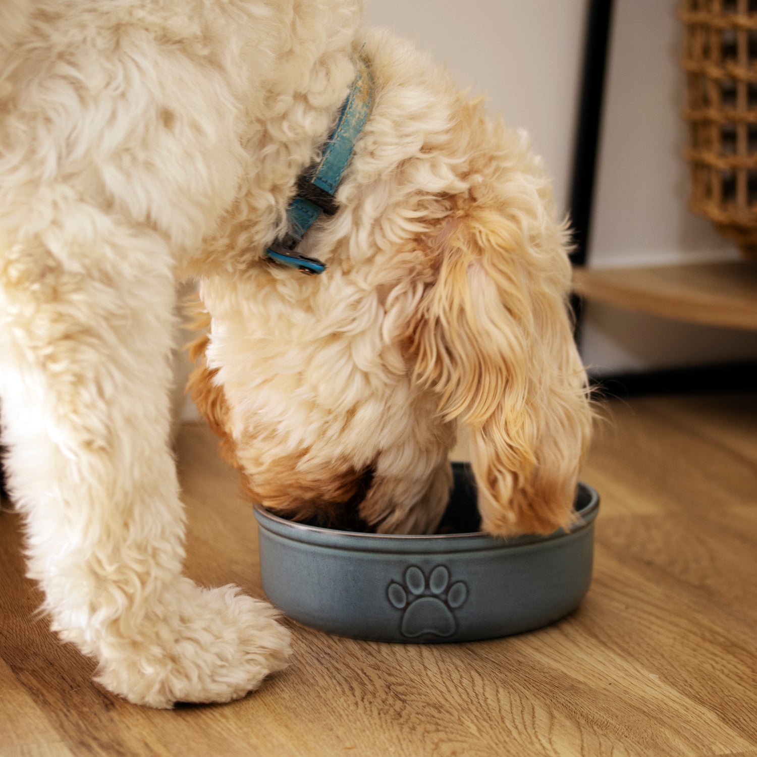 Blue Reactive Glaze Pet Bowl