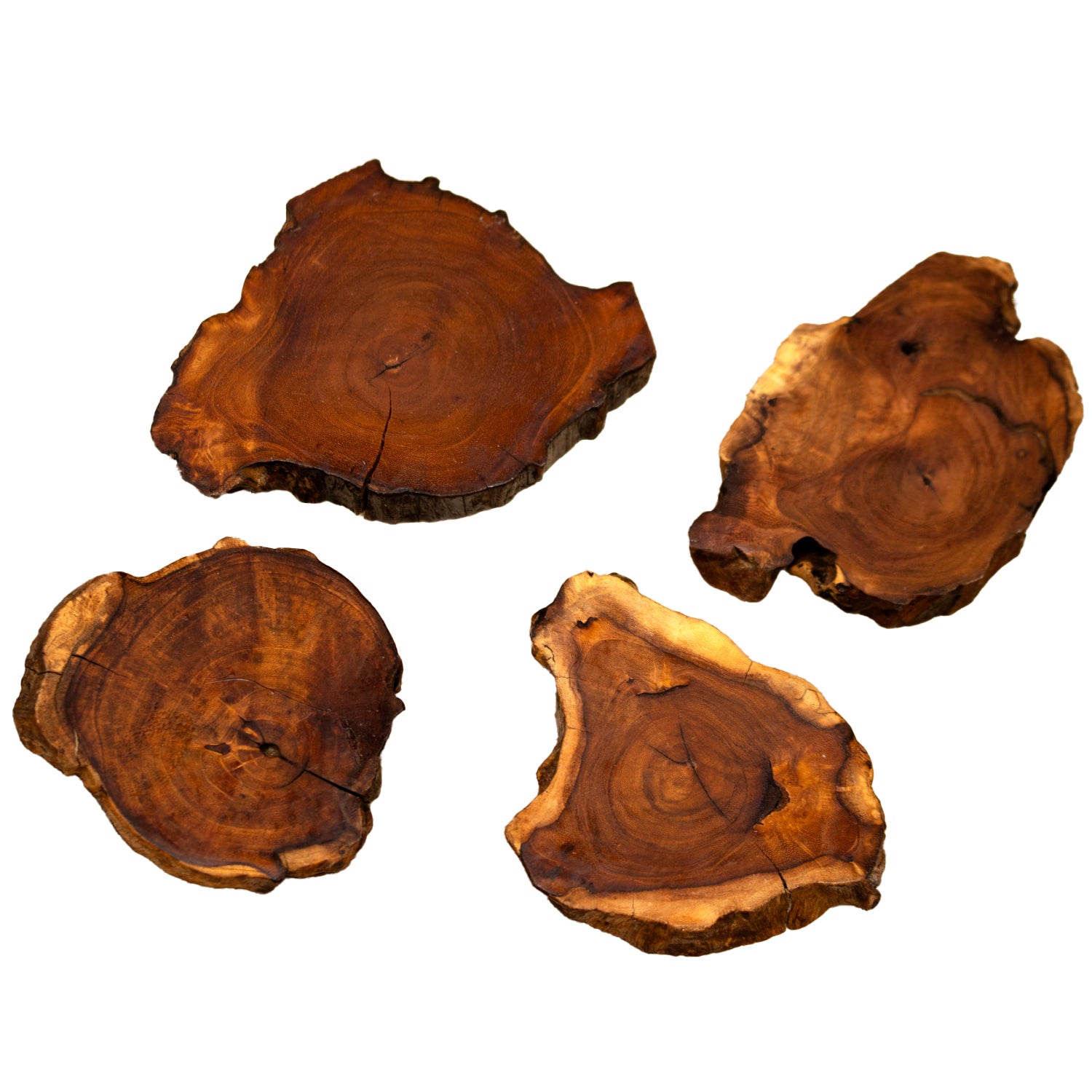 Set Of 4 Teak Root Slice Coasters