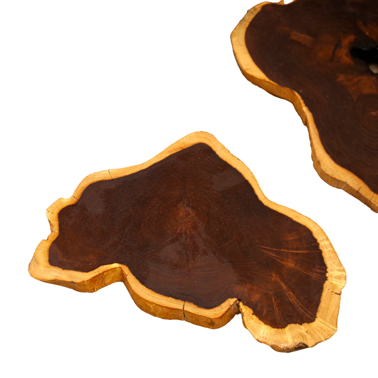 Set Of 2 Teak Root Slice Placemats Medium