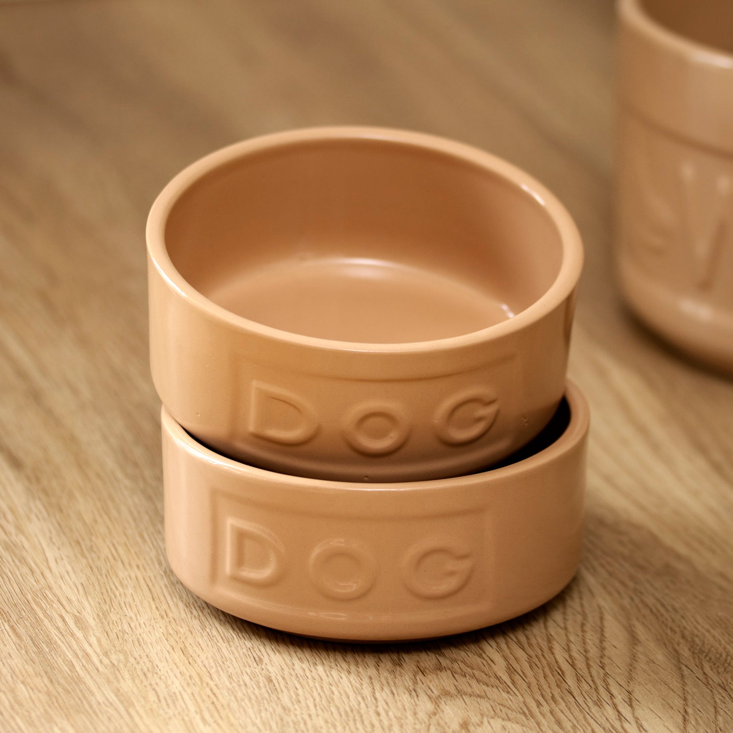 Set Of 2 Small Mason Cash Dog Bowls