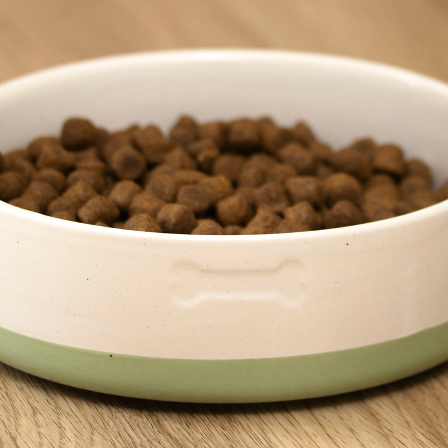 Set Of 2 Colour Dip Bone Dog Bowls