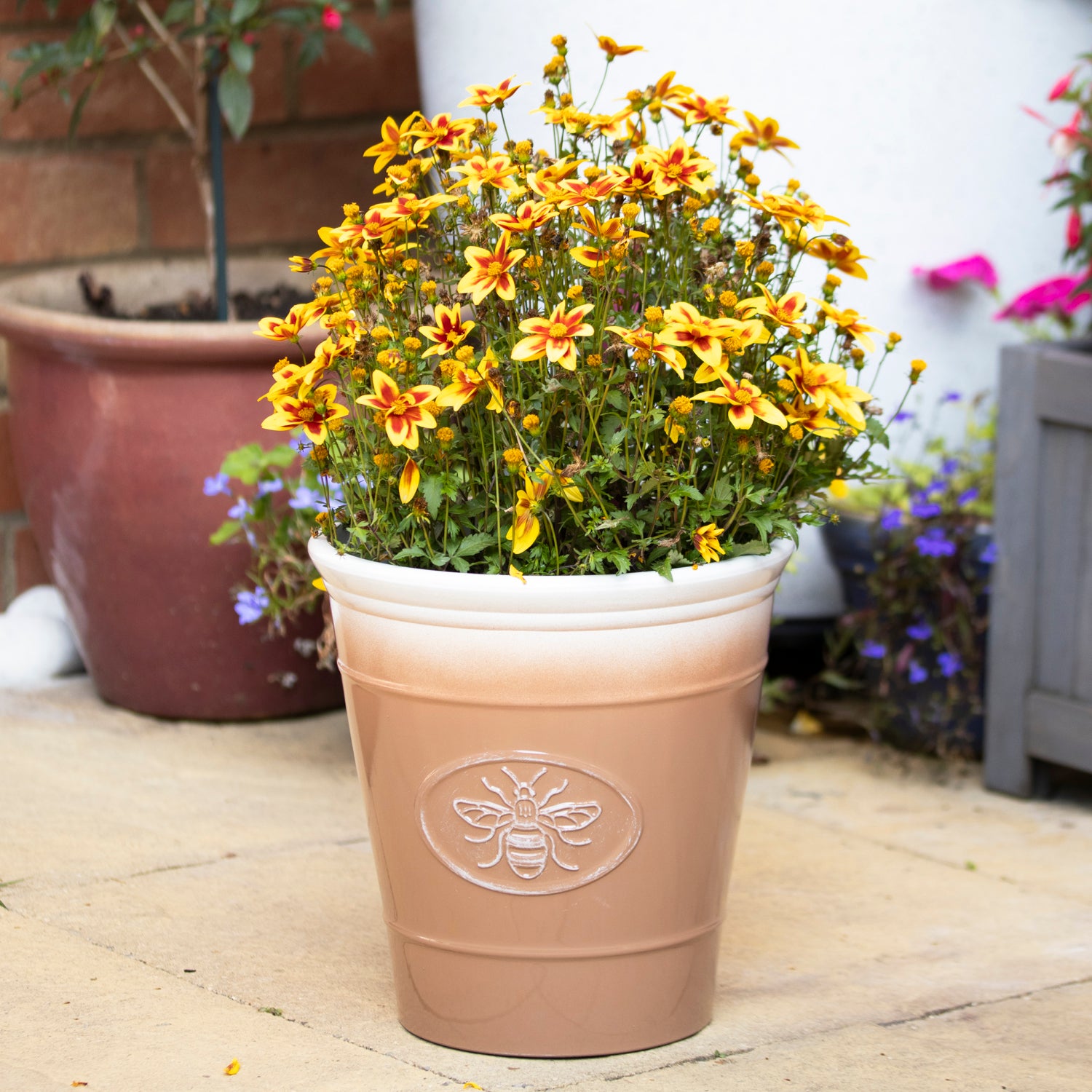 Honeycomb Embossed Bee Garden Planter
