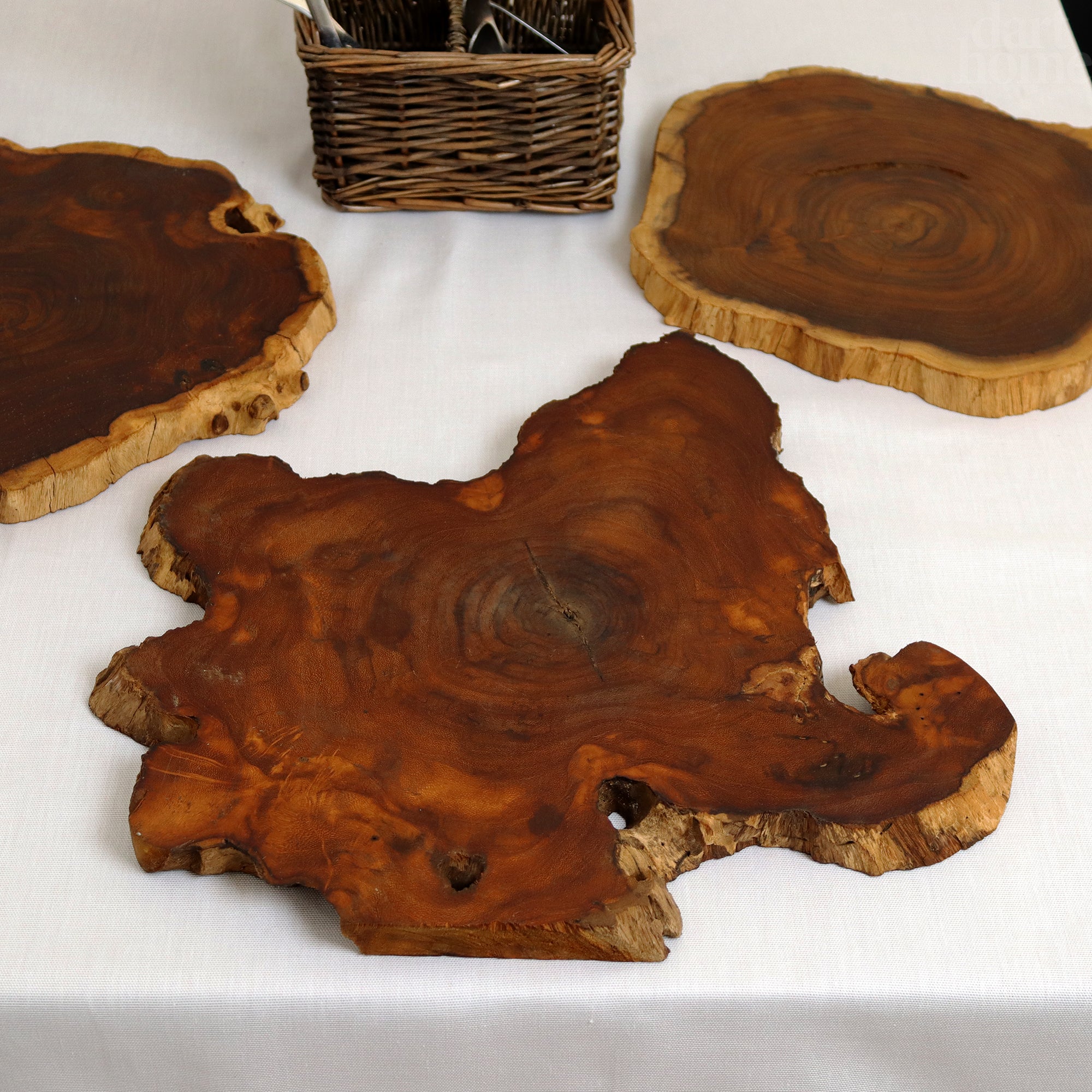 Set Of 2 Teak Root Slice Placemats Large