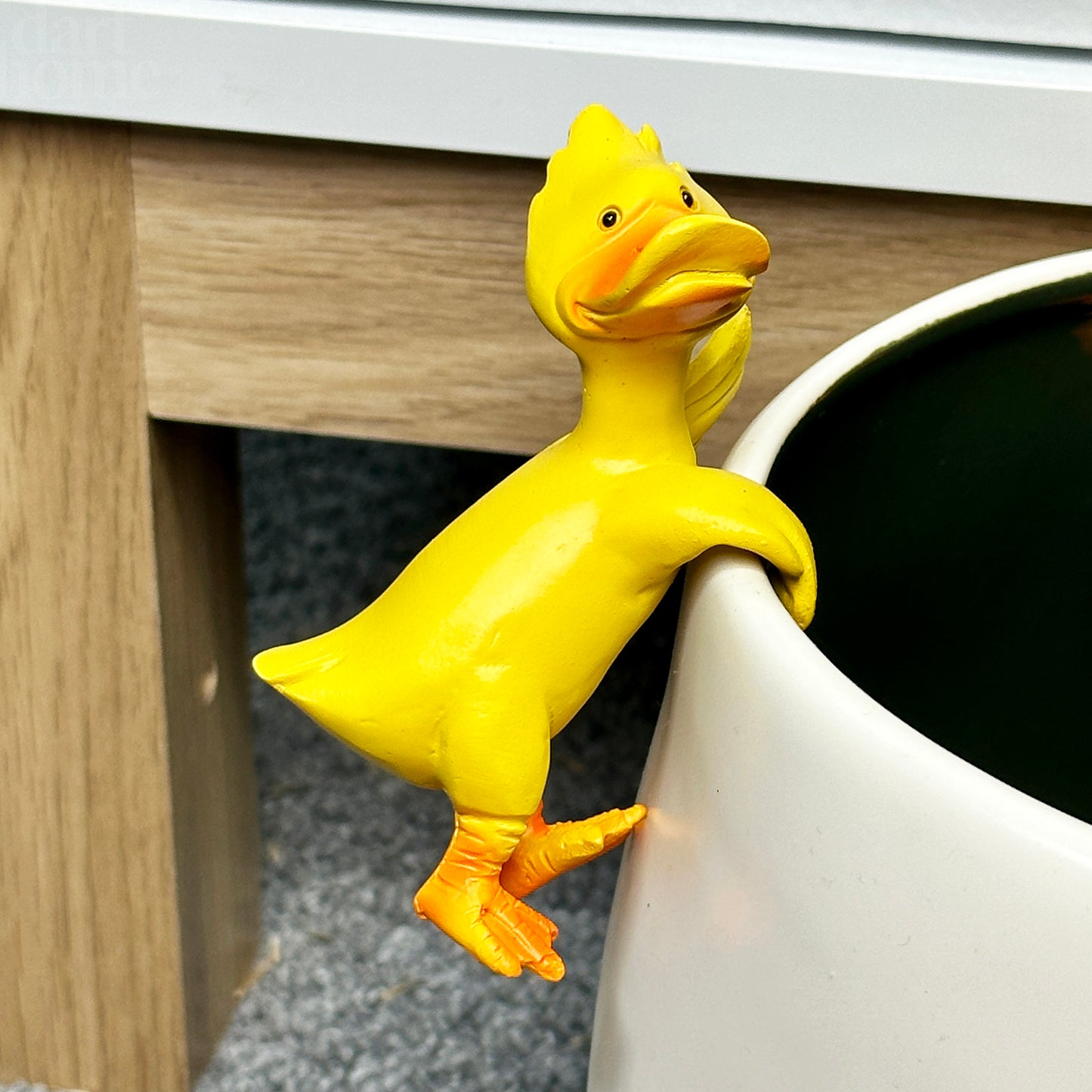 Set mit 4 Dizzy Duck Topfaufhängern