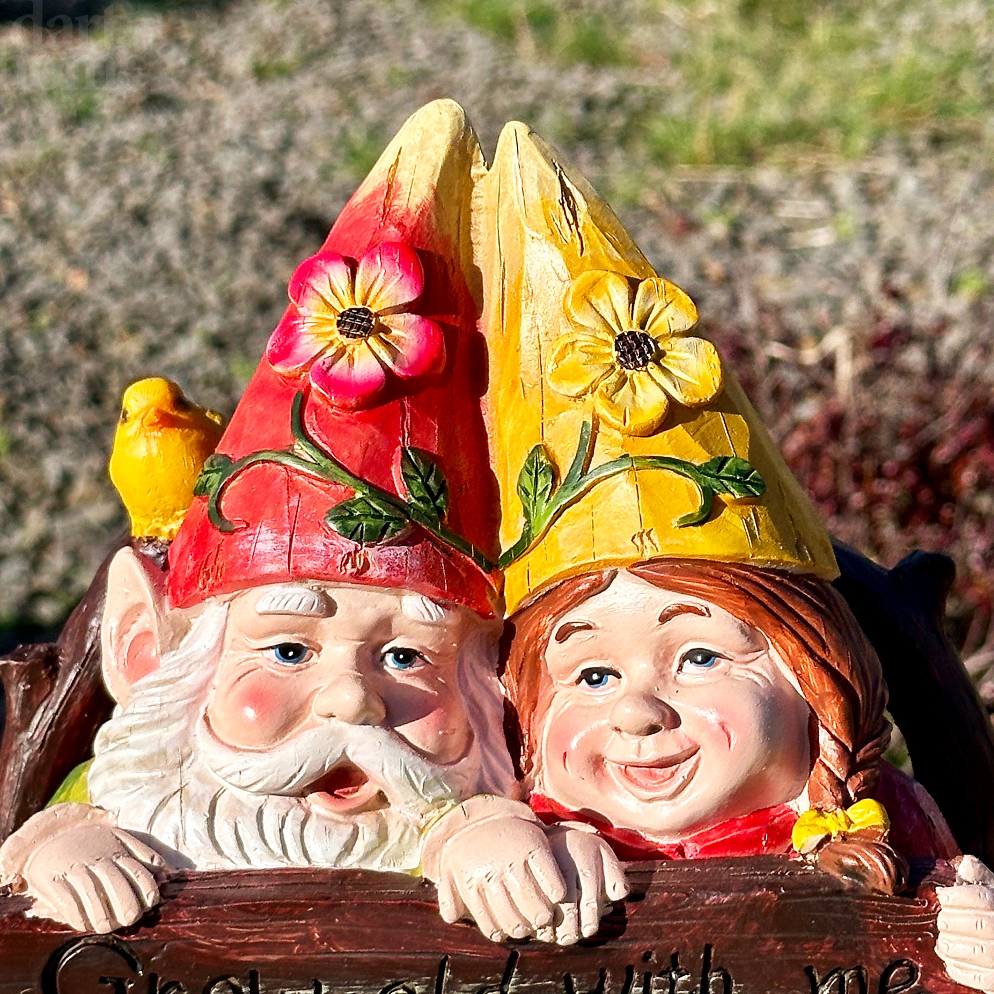 Grow Old With Me Gnome Couple Ornament