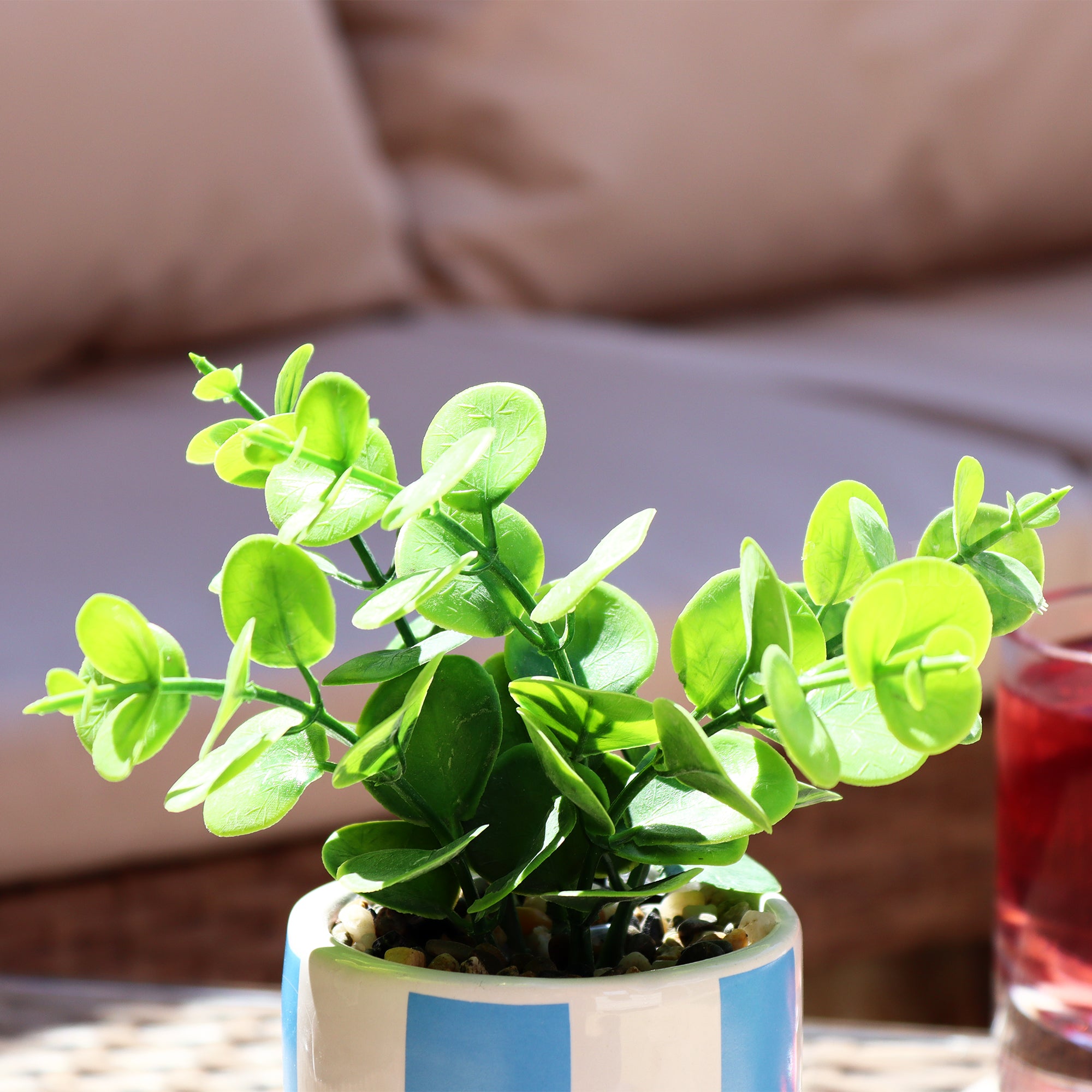 Artificial Eucalyptus Plant In Blue Checked Pot