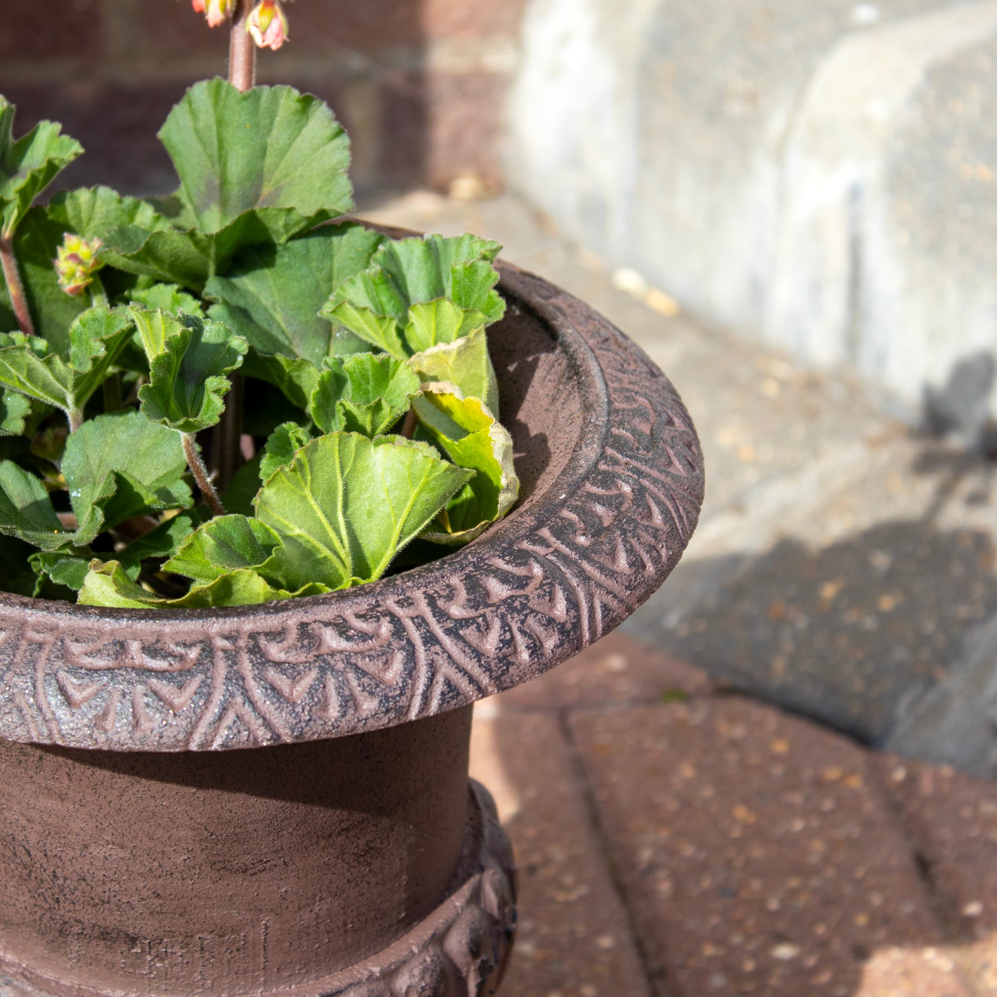 Cast Iron Urn Planter