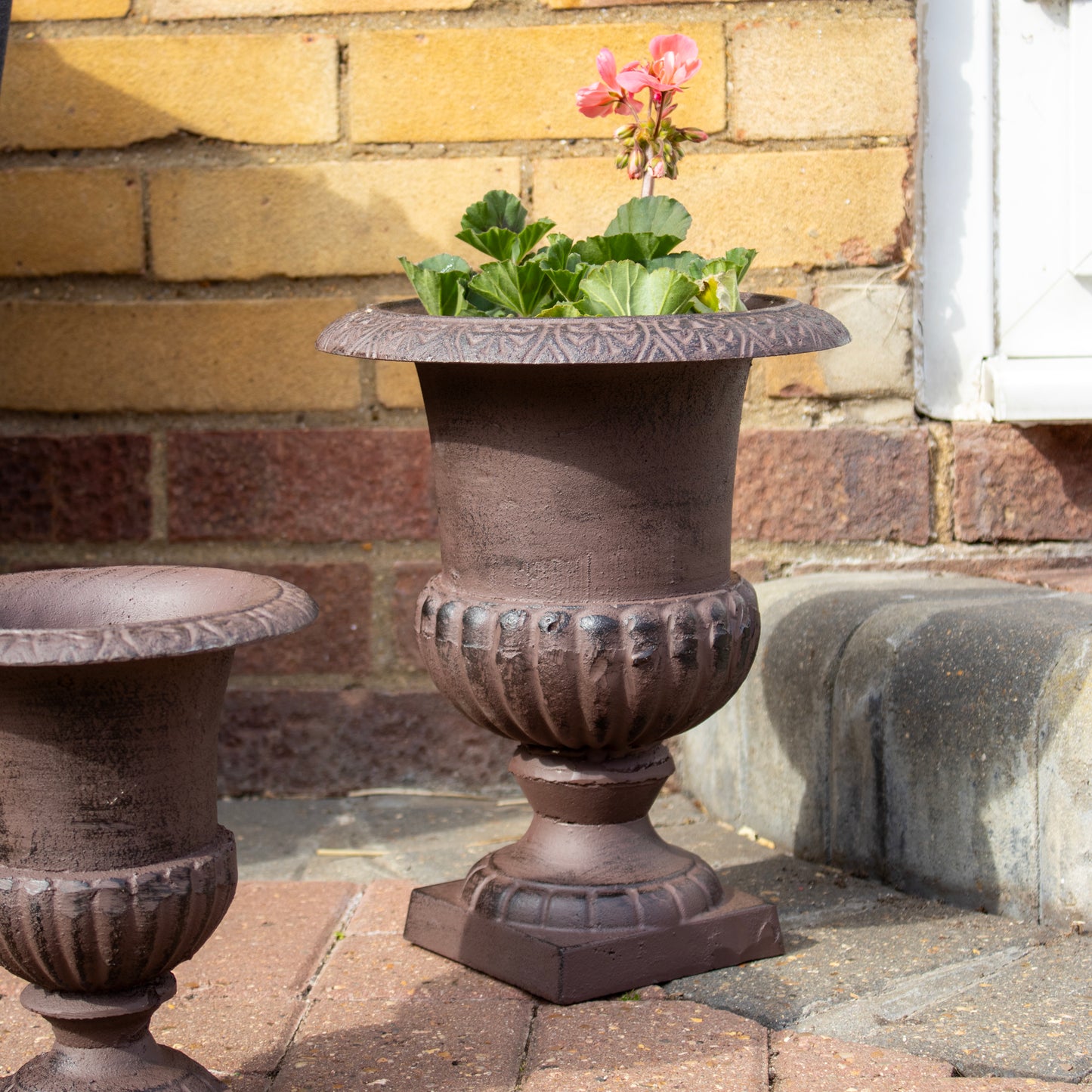 Cast Iron Urn Planter