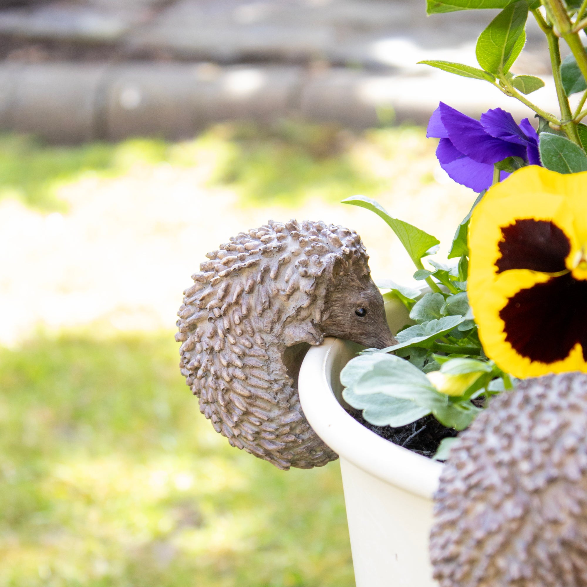 hedgehog plant pot hanger Darthome Set Of 2 Hedgehog Pot Hangers