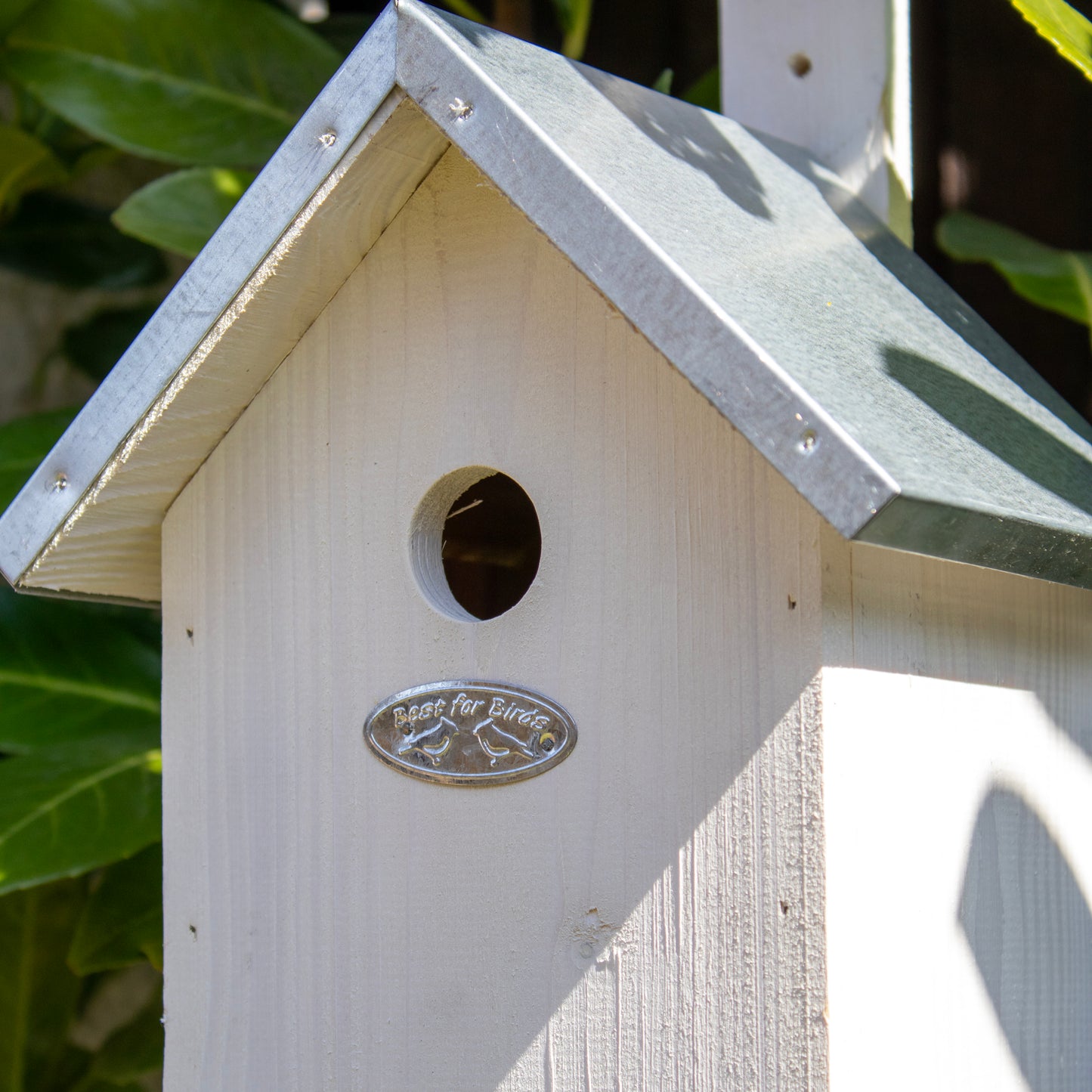 White And Silver Metal Roof Bird House