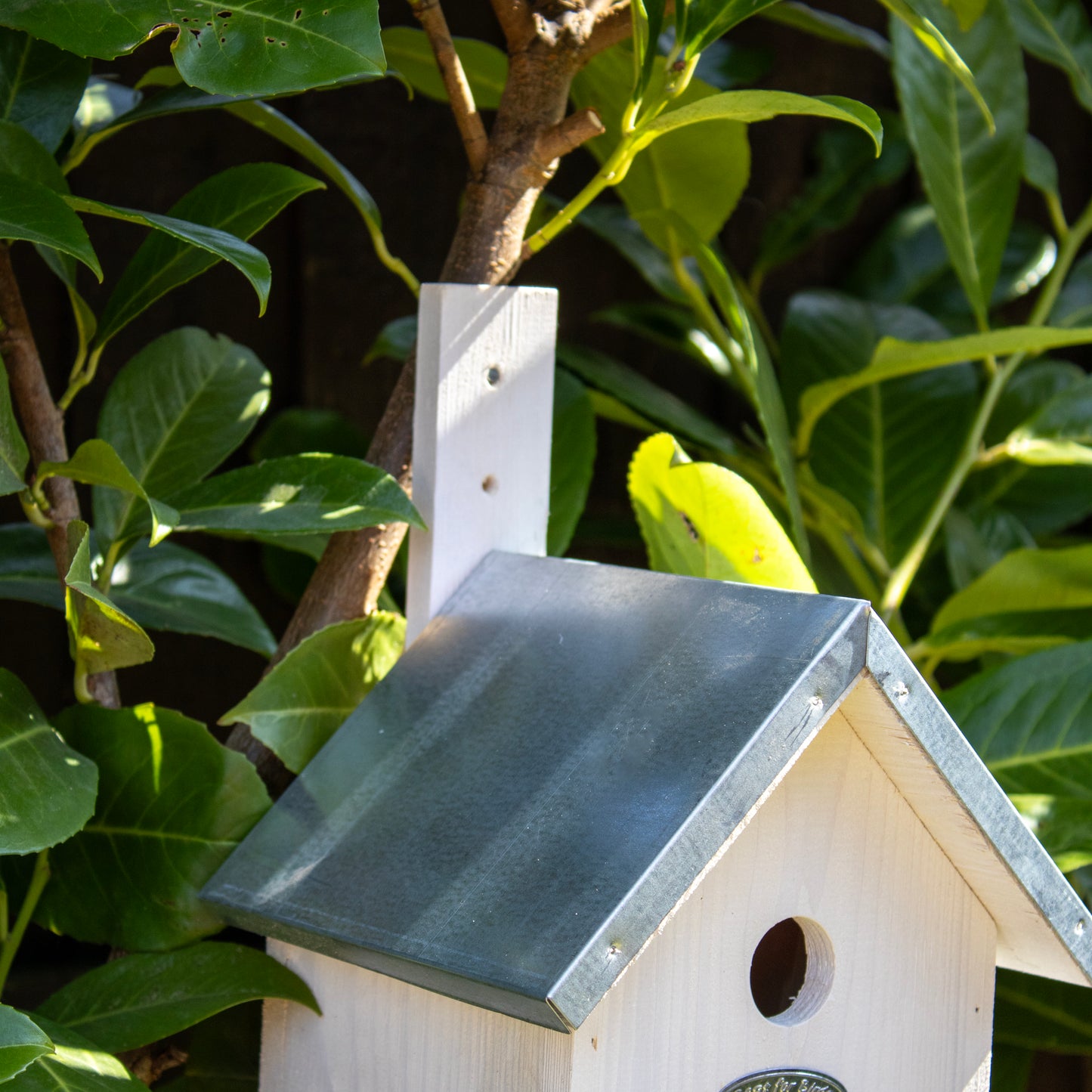 White And Silver Metal Roof Bird House