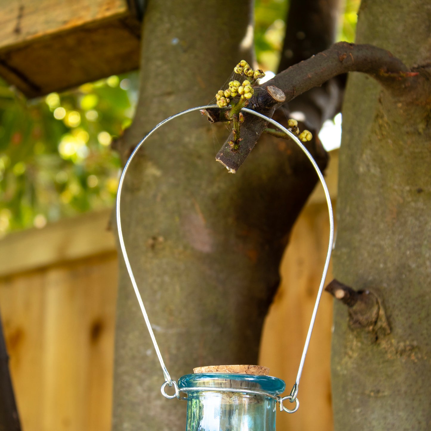 Blue Hobnail Glass Wasp Trap