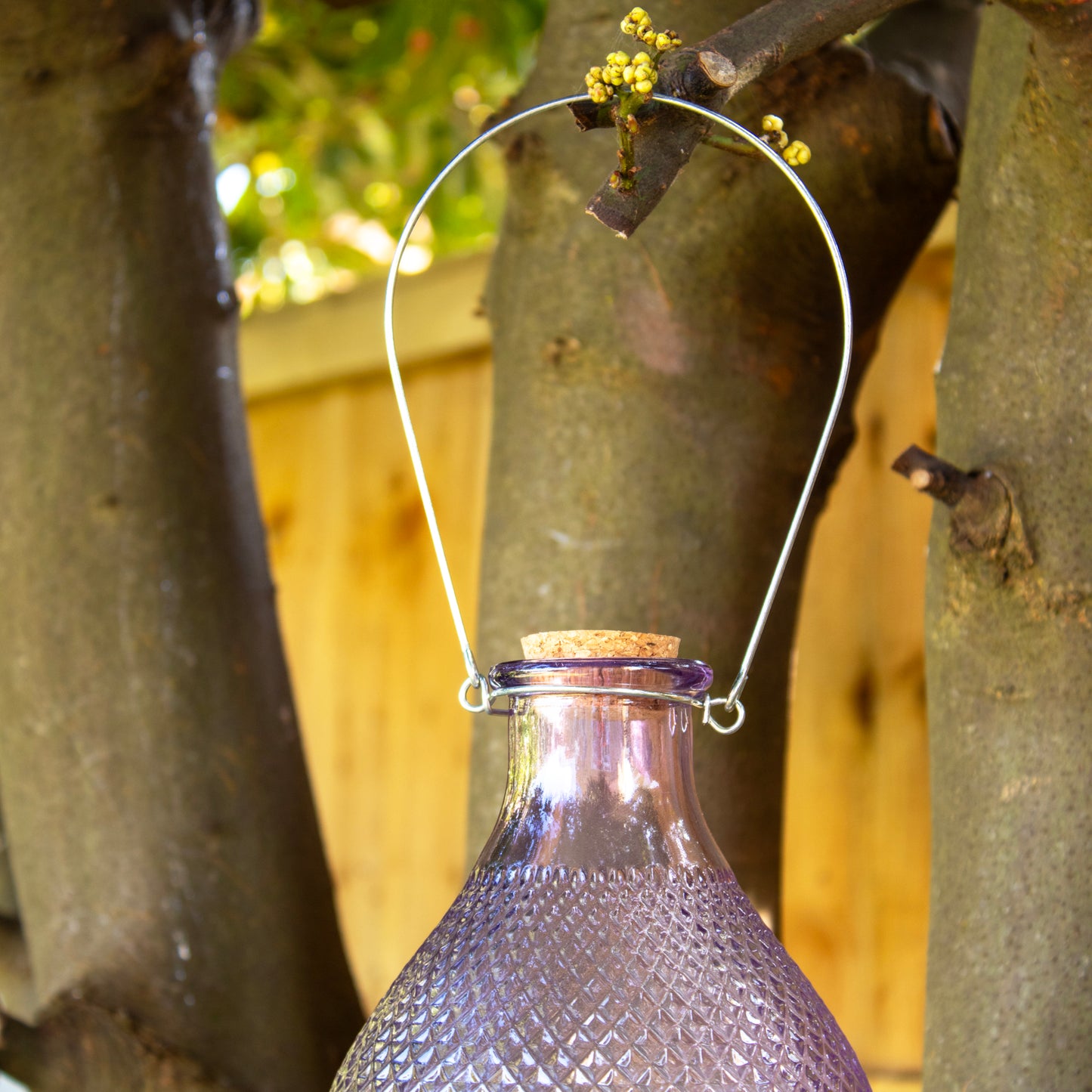 Purple Hobnail Glass Wasp Trap