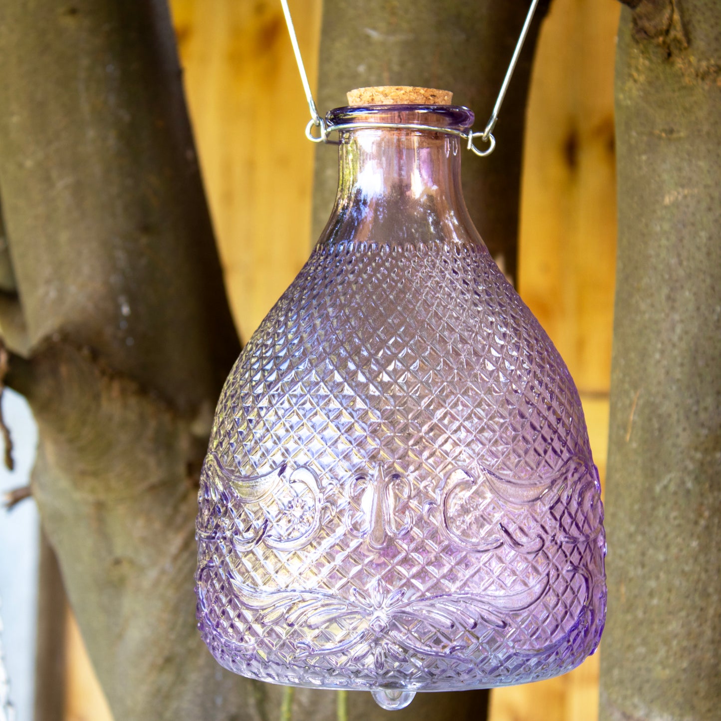 Purple Hobnail Glass Wasp Trap