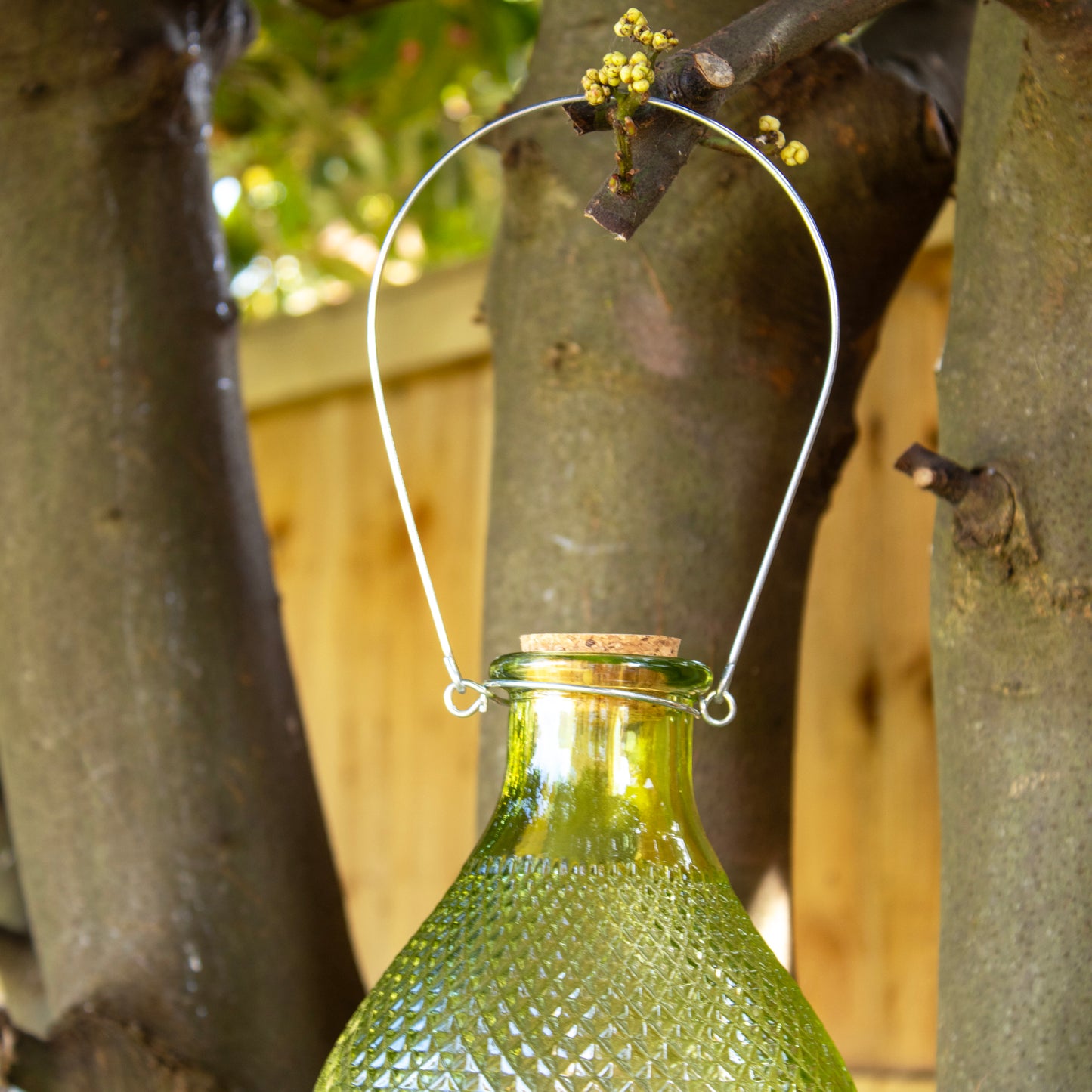 Green Hobnail Glass Wasp Trap