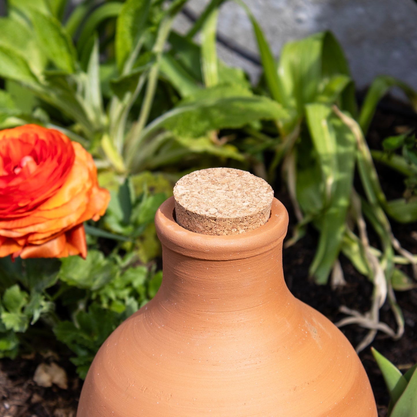 Corked Olla Terracotta Irrigation Pot