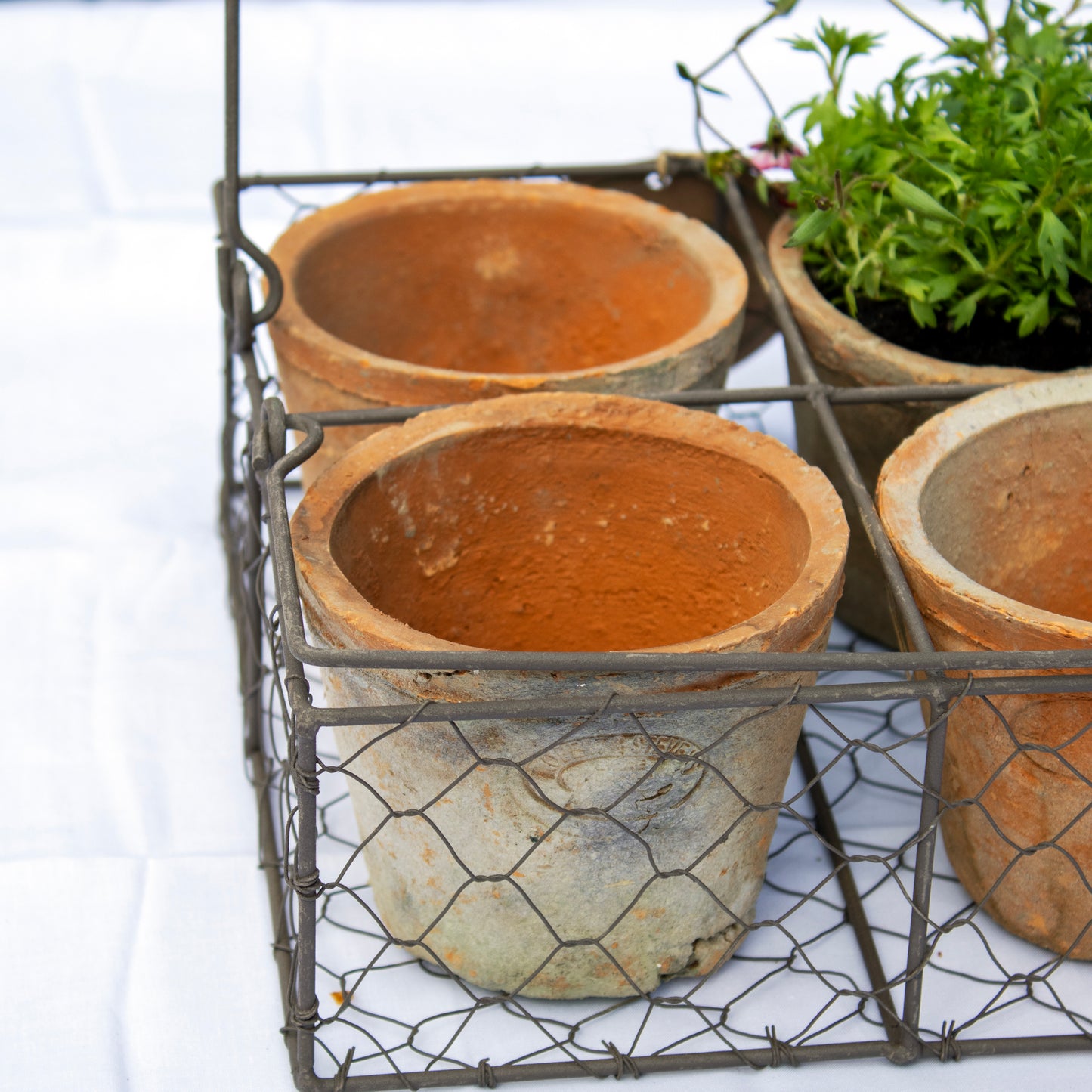 Set Of 4 Aged Terracotta Pots In Wire Basket