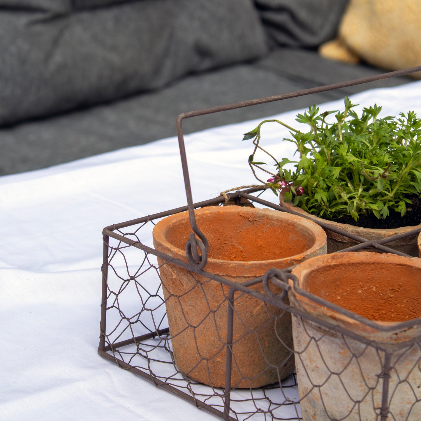 Set Of 4 Aged Terracotta Pots In Wire Basket