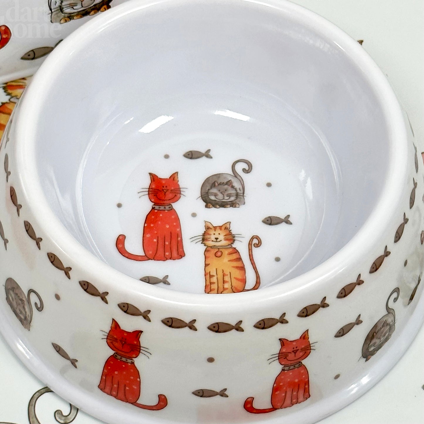 Kitten Crew Cat Bowl
