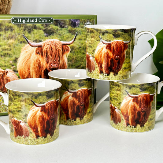 Highland Cow Mugs Giftboxed 300ml