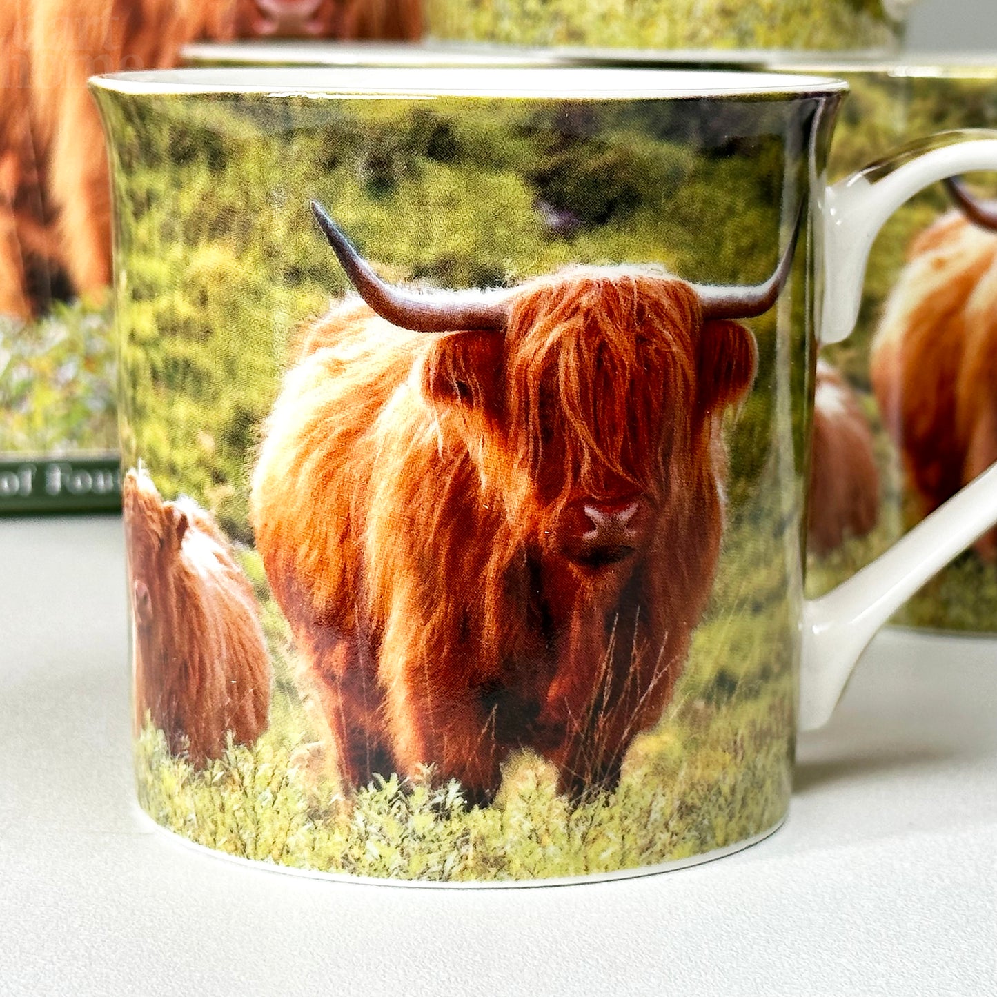 Highland Cow Mugs Giftboxed 300ml