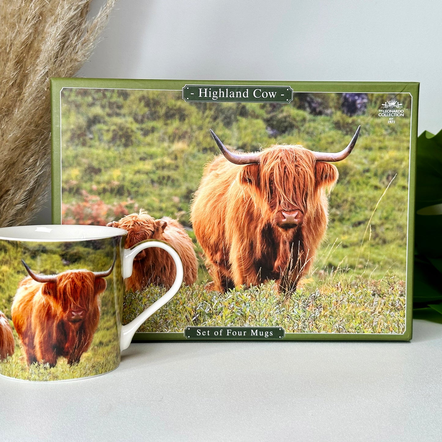 Highland Cow Mugs Giftboxed 300ml