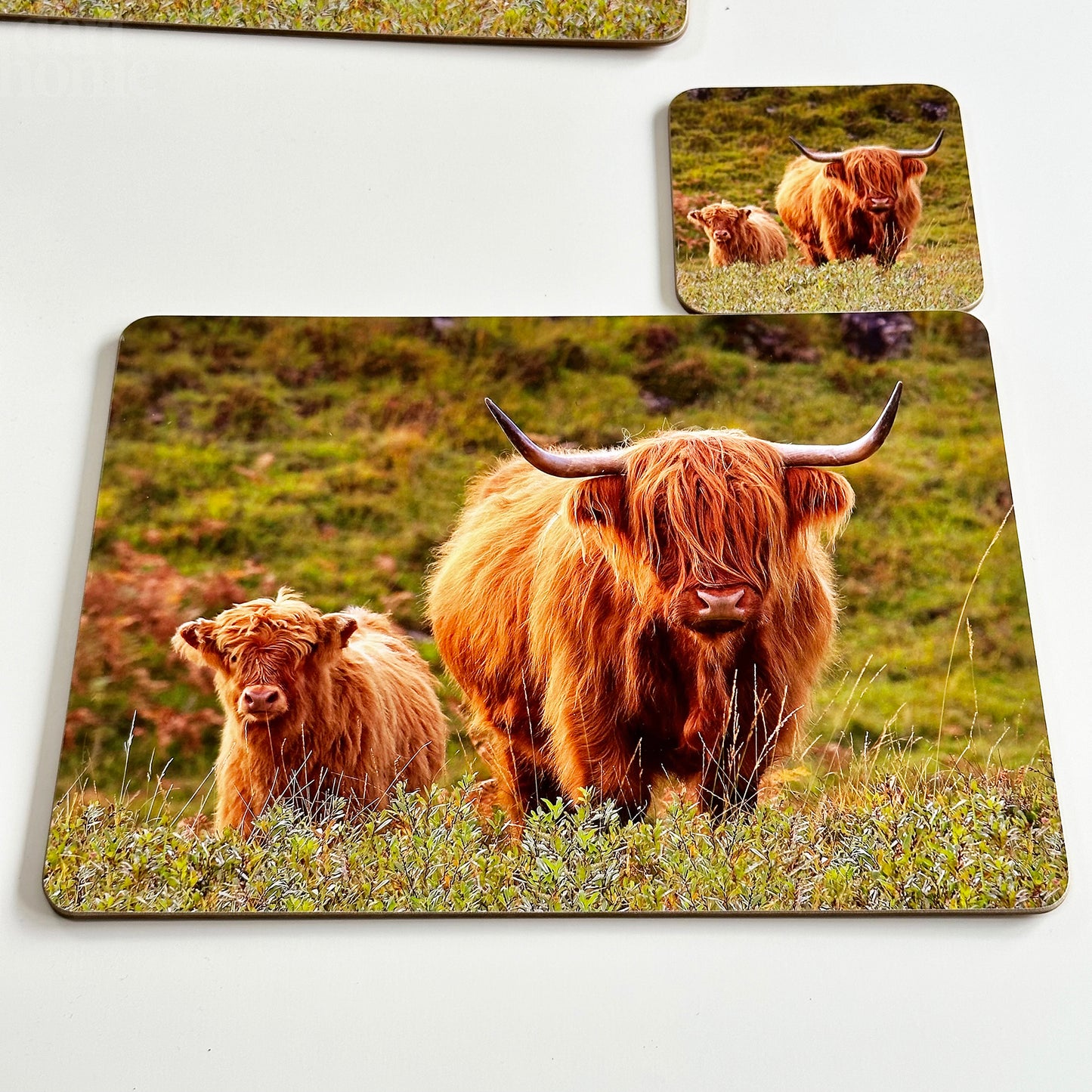 Set Of 4 Highland Cow Placemat And Coasters