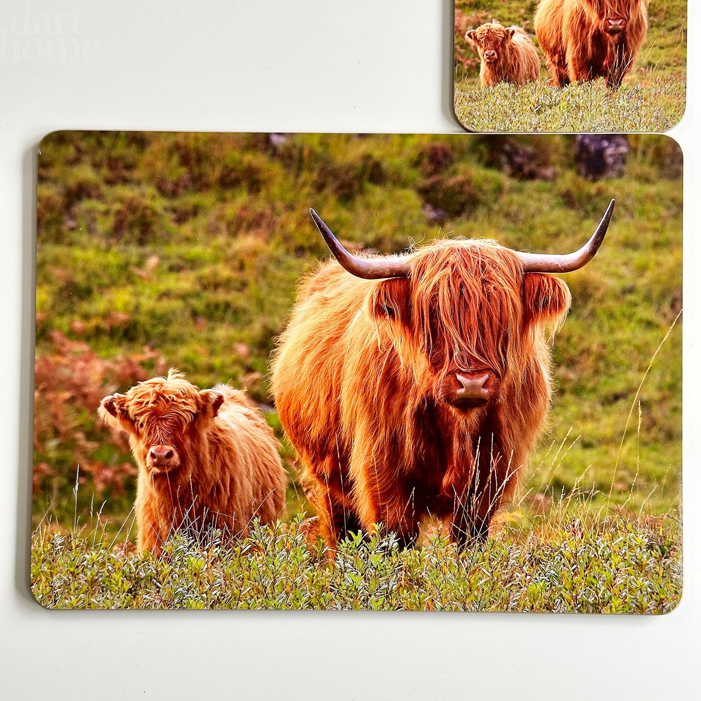 Set Of 4 Highland Cow Placemat And Coasters