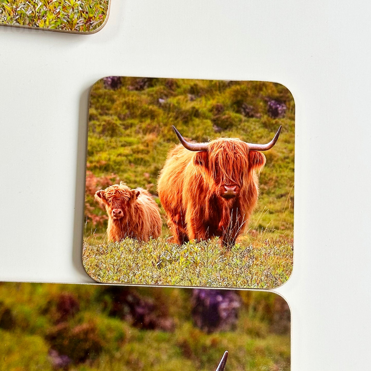 Set Of 4 Highland Cow Placemat And Coasters
