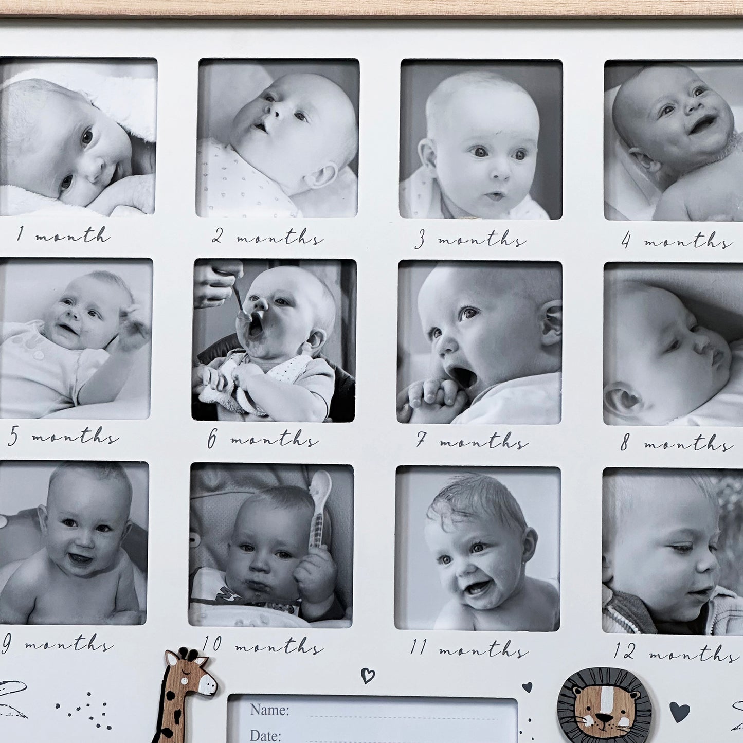 Safari First Year Photo Frame