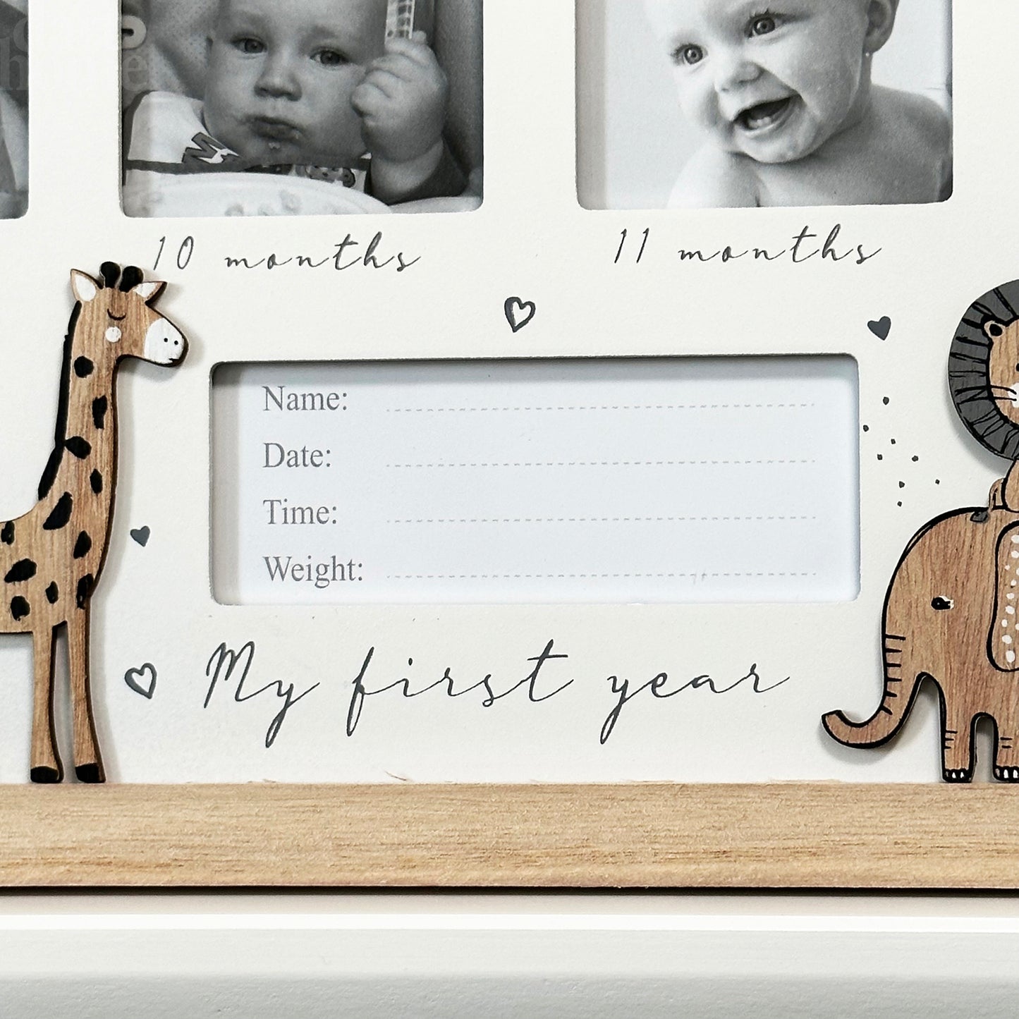 Safari First Year Photo Frame