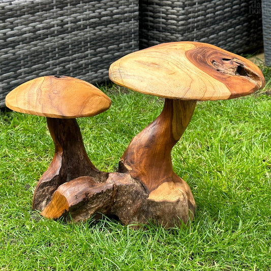 Teak Root Double Wild Mushroom Sculpture