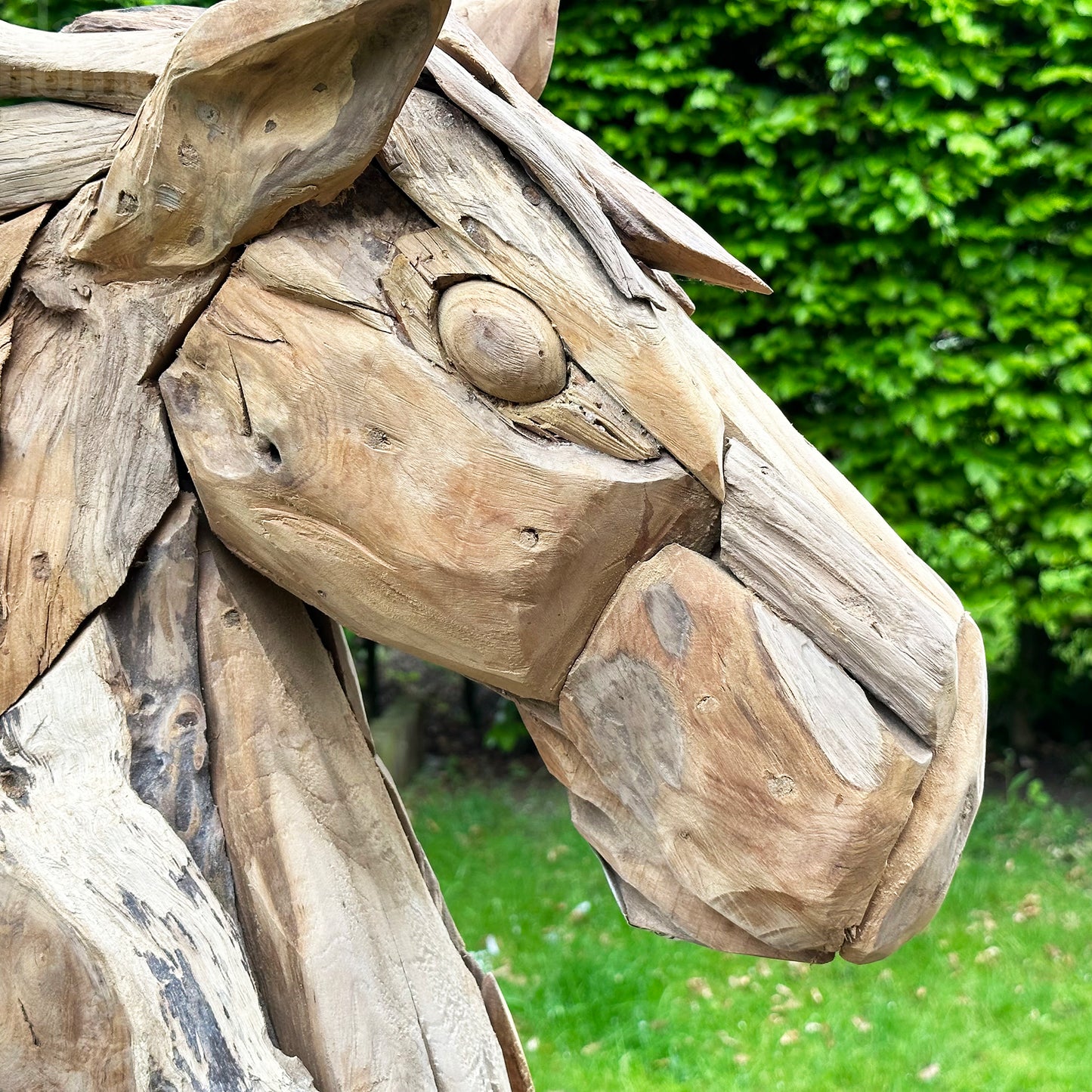 Teak Root Horse Head Sculpture