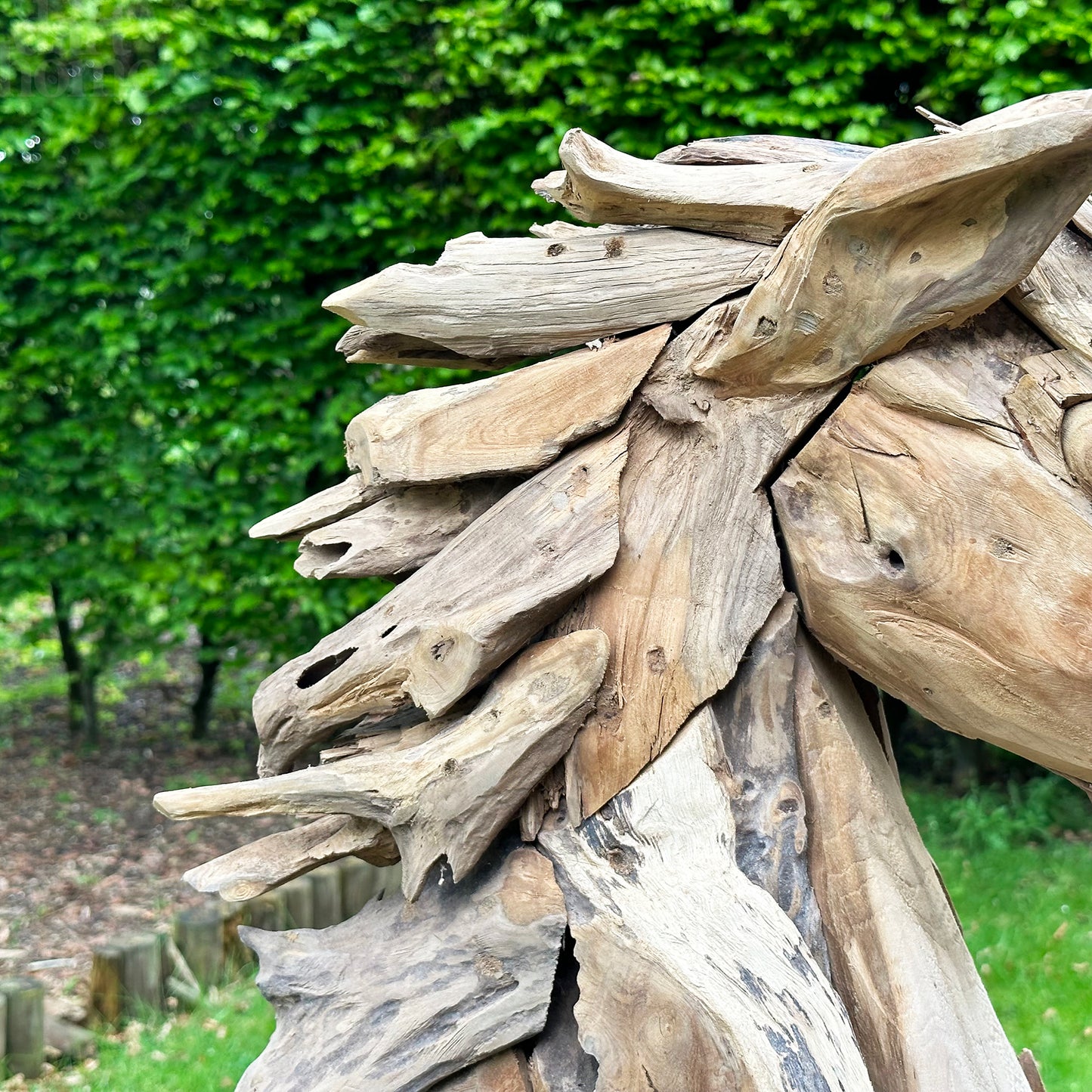 Teak Root Horse Head Sculpture