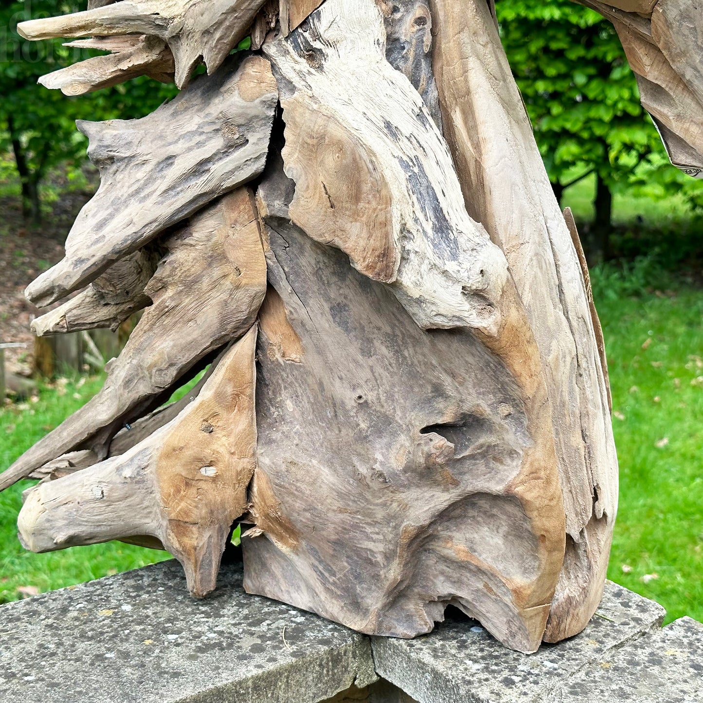 Teak Root Horse Head Sculpture