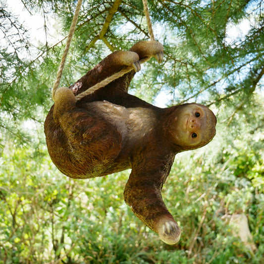 Hanging Sloth Garden Sculpture
