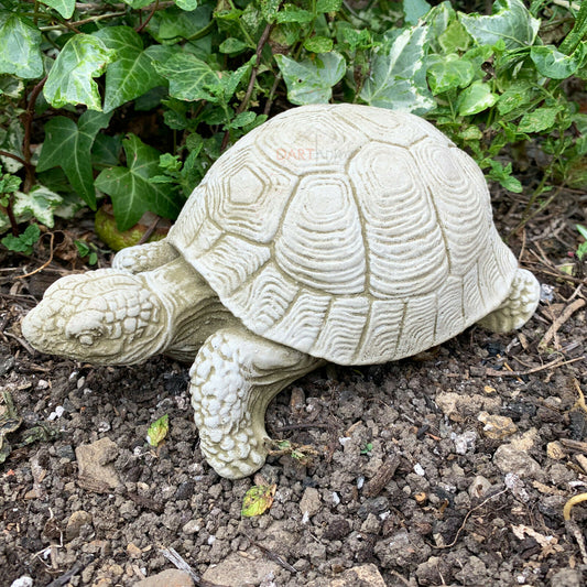 Stoneware Tortoise Outdoor Garden Sculpture 18cm