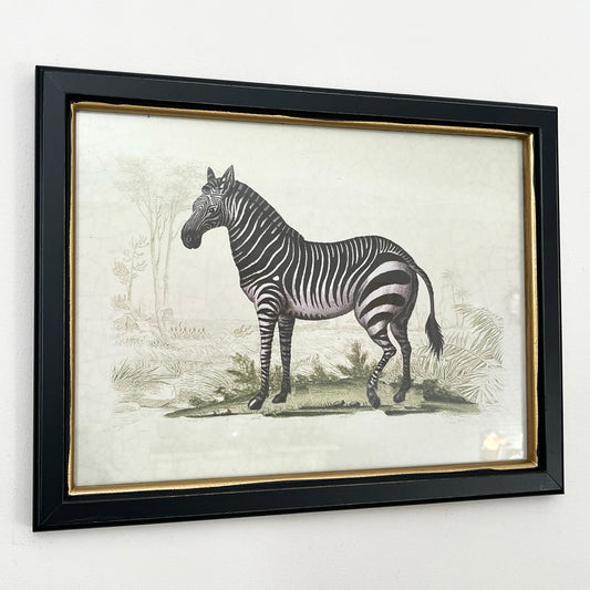 Vintage Zebra Framed Wall Art