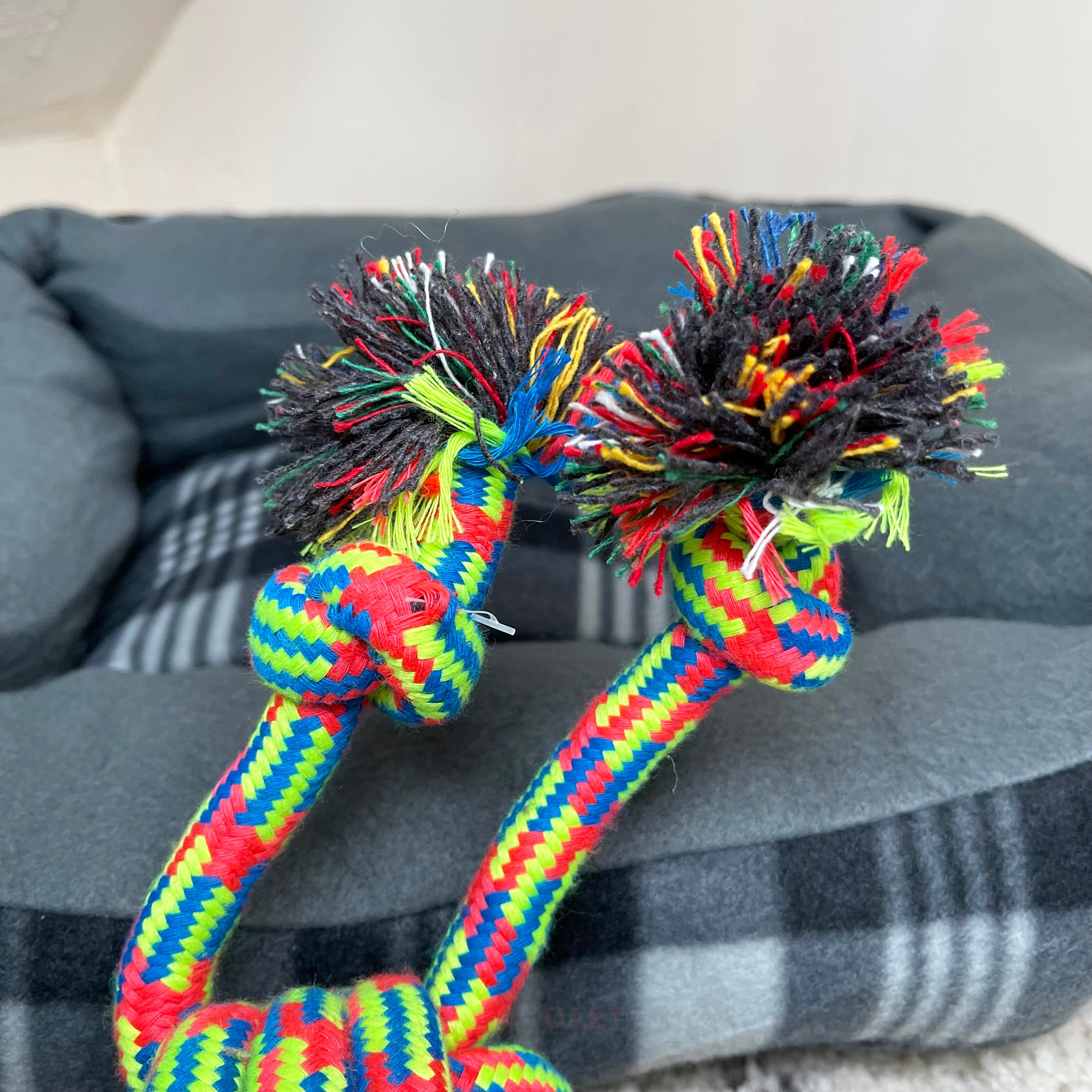 Coloured Quad Rope Knot Ball Dog Chew Toy