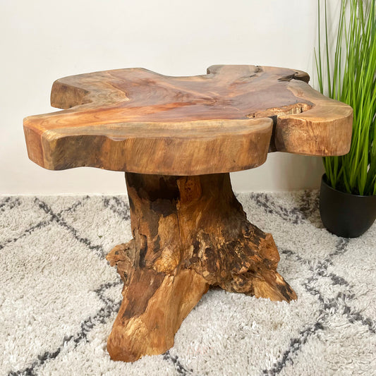 Teak Root Wood Mushroom Side Table
