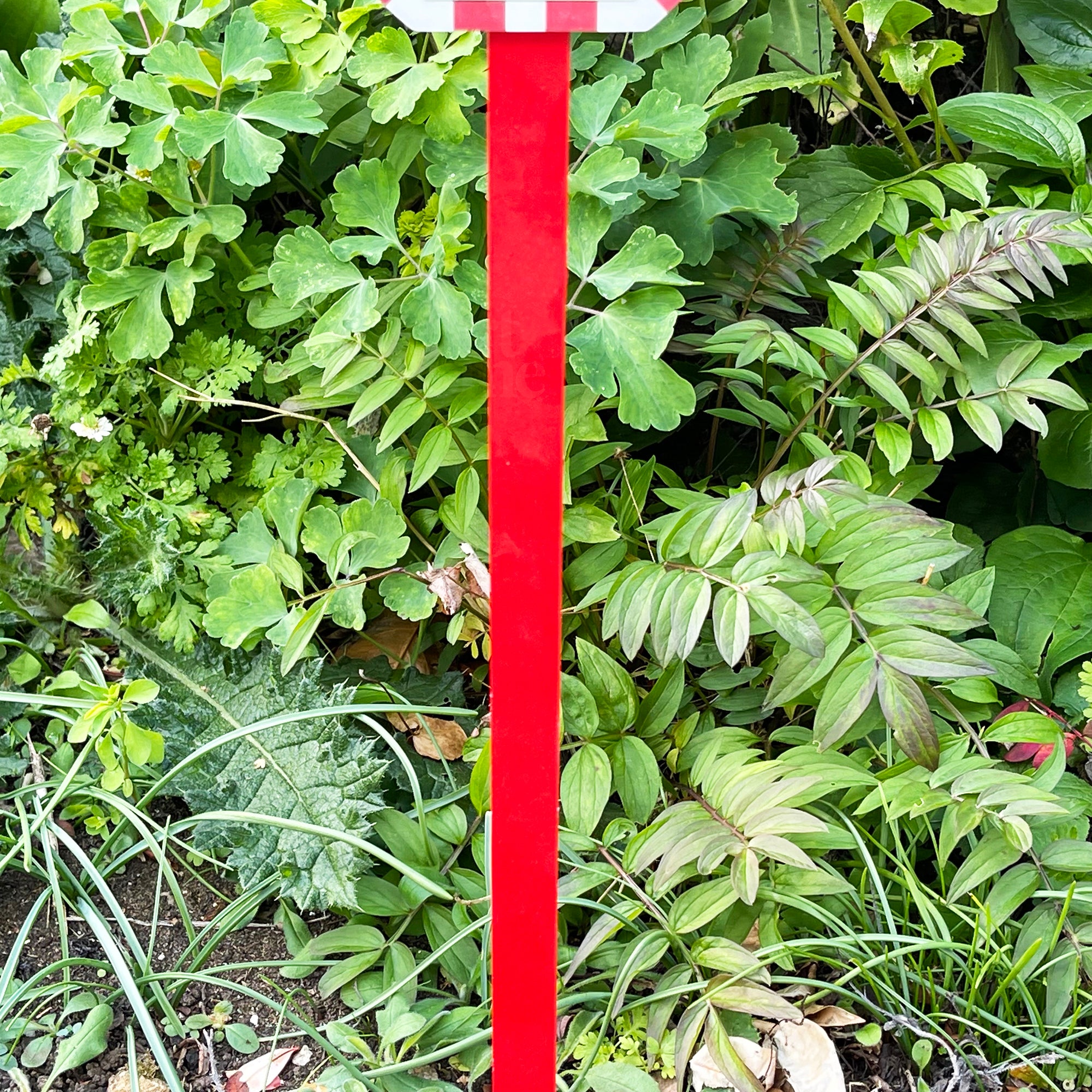 Schneemann Santa Stop Here Schild 15x68cm