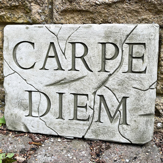 Stone Carpe Diem Wall Plaque